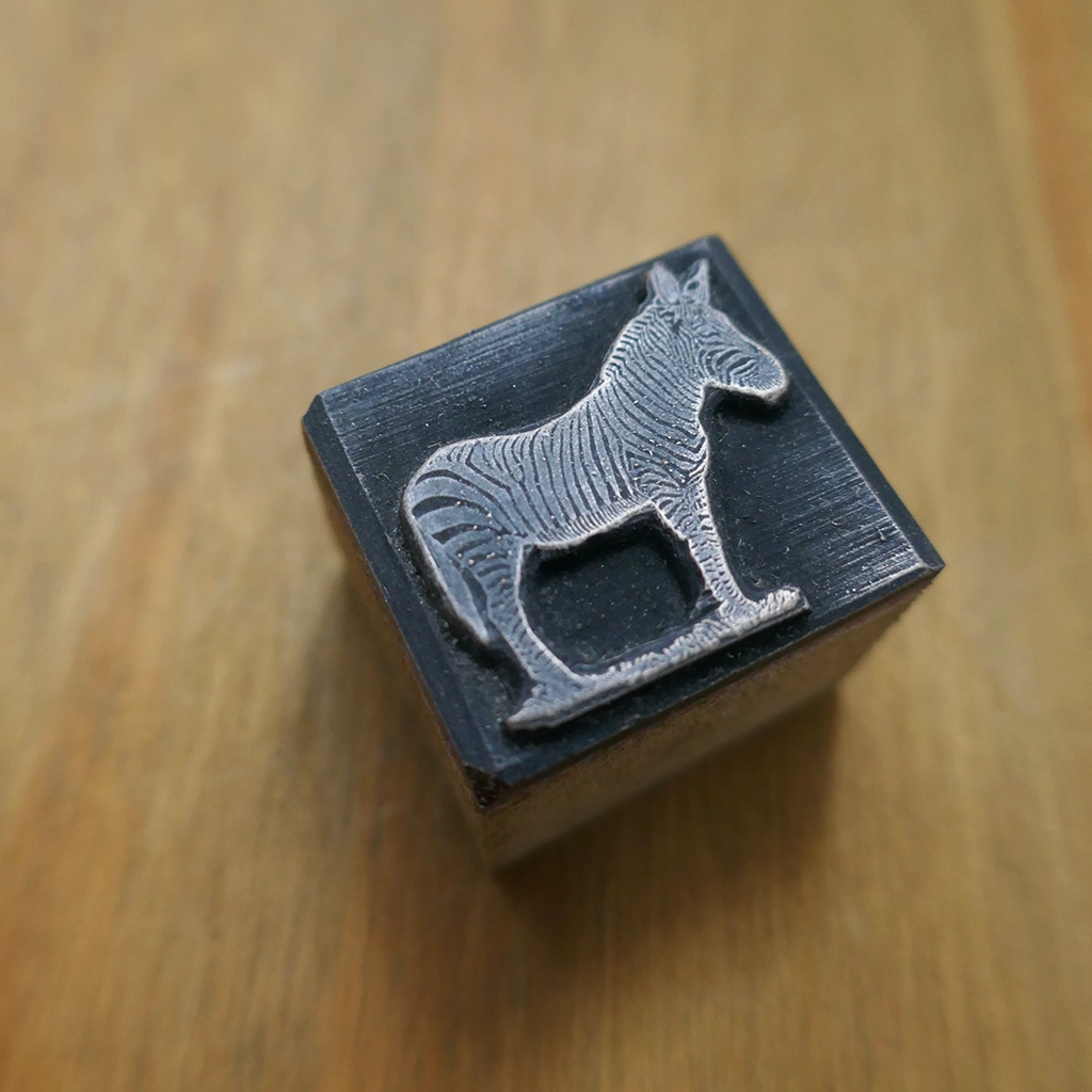 Zebra Side