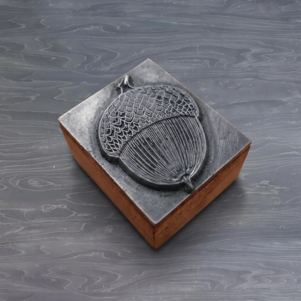 Acorn Seed