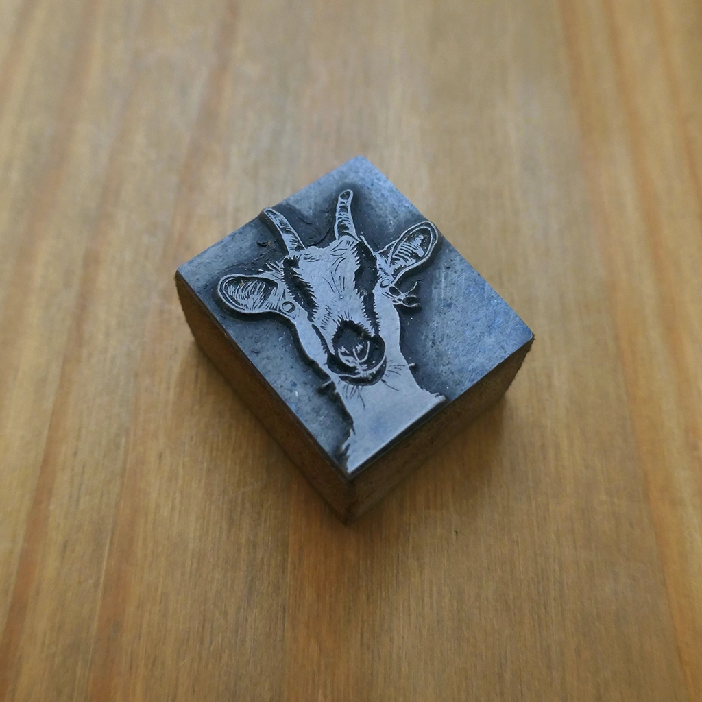Goat Face