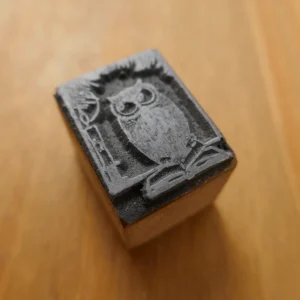 Owl on Book