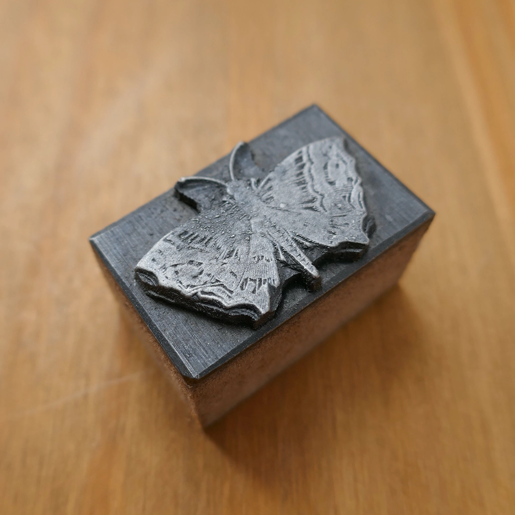 Dark Textured Butterfly