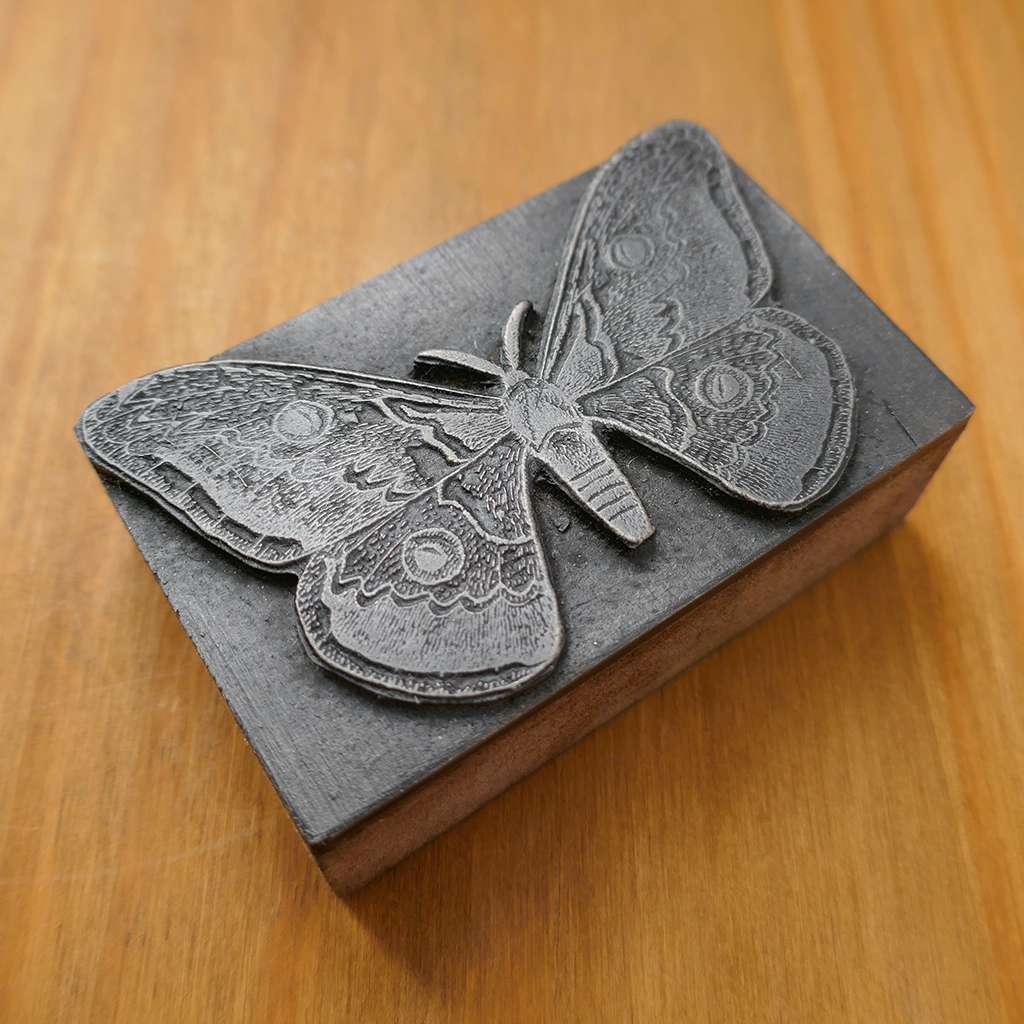 Giant Emperor Moth