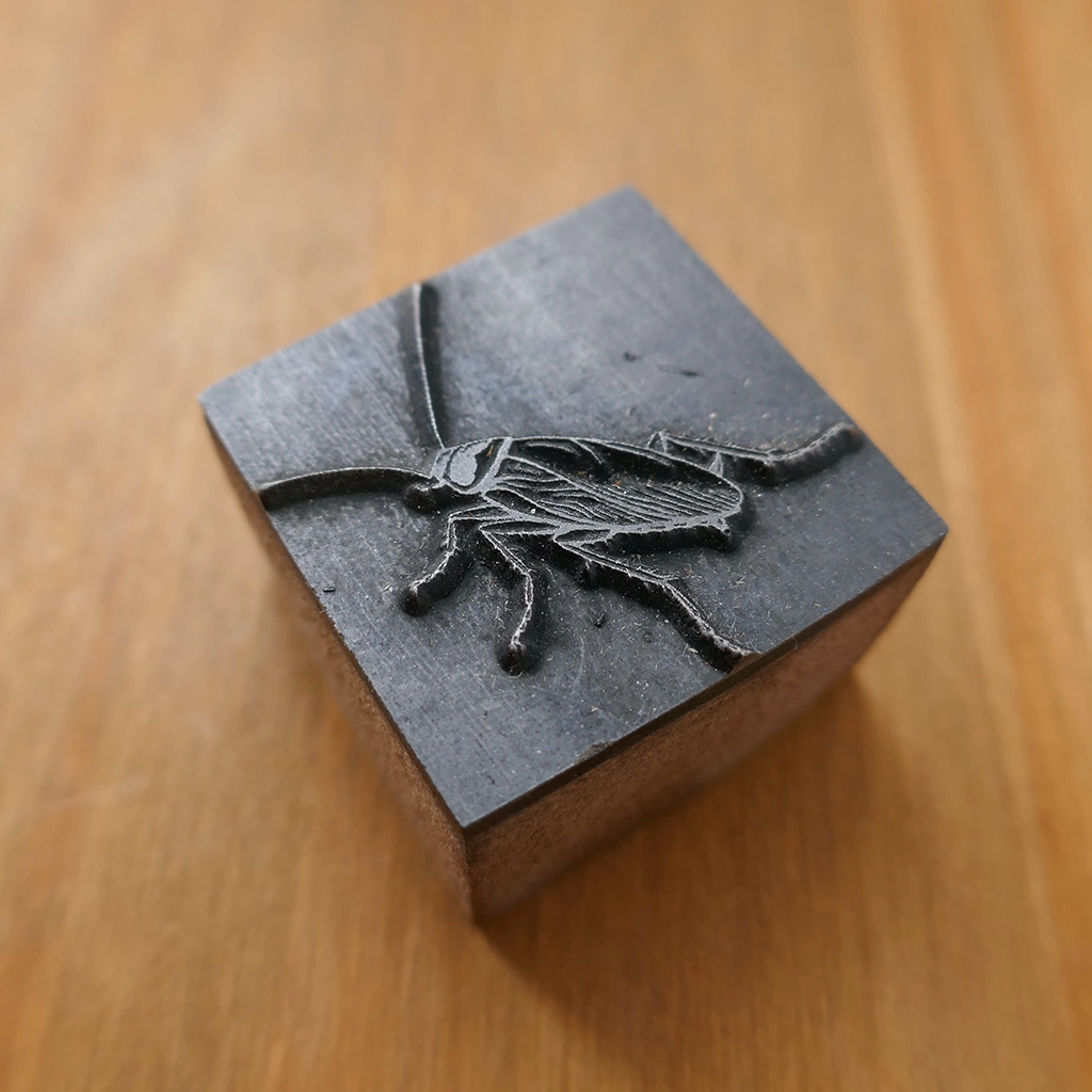 Detailed Cockroach