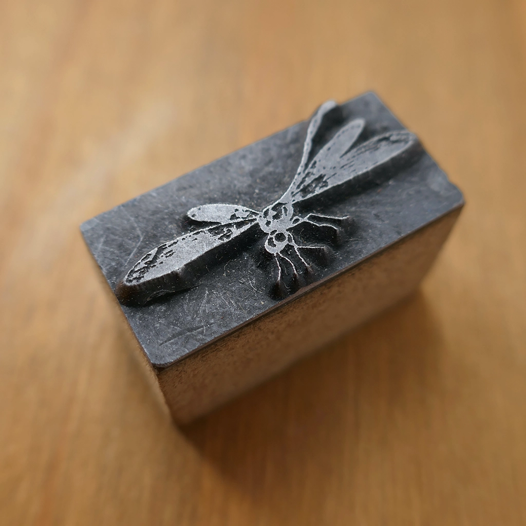Flying Dragonfly Profile