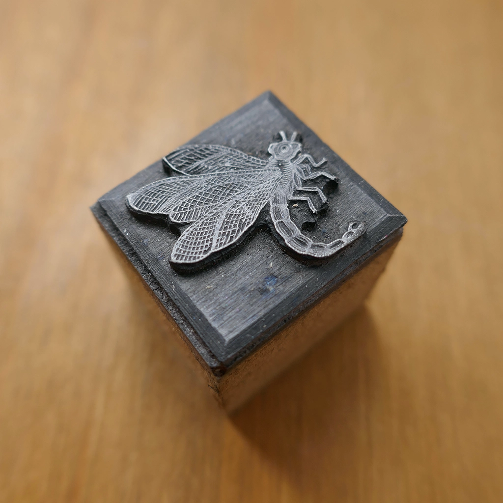 Curved Dragonfly Side