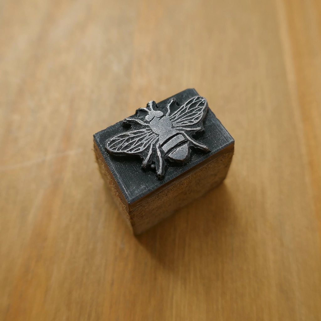 Fly from Above