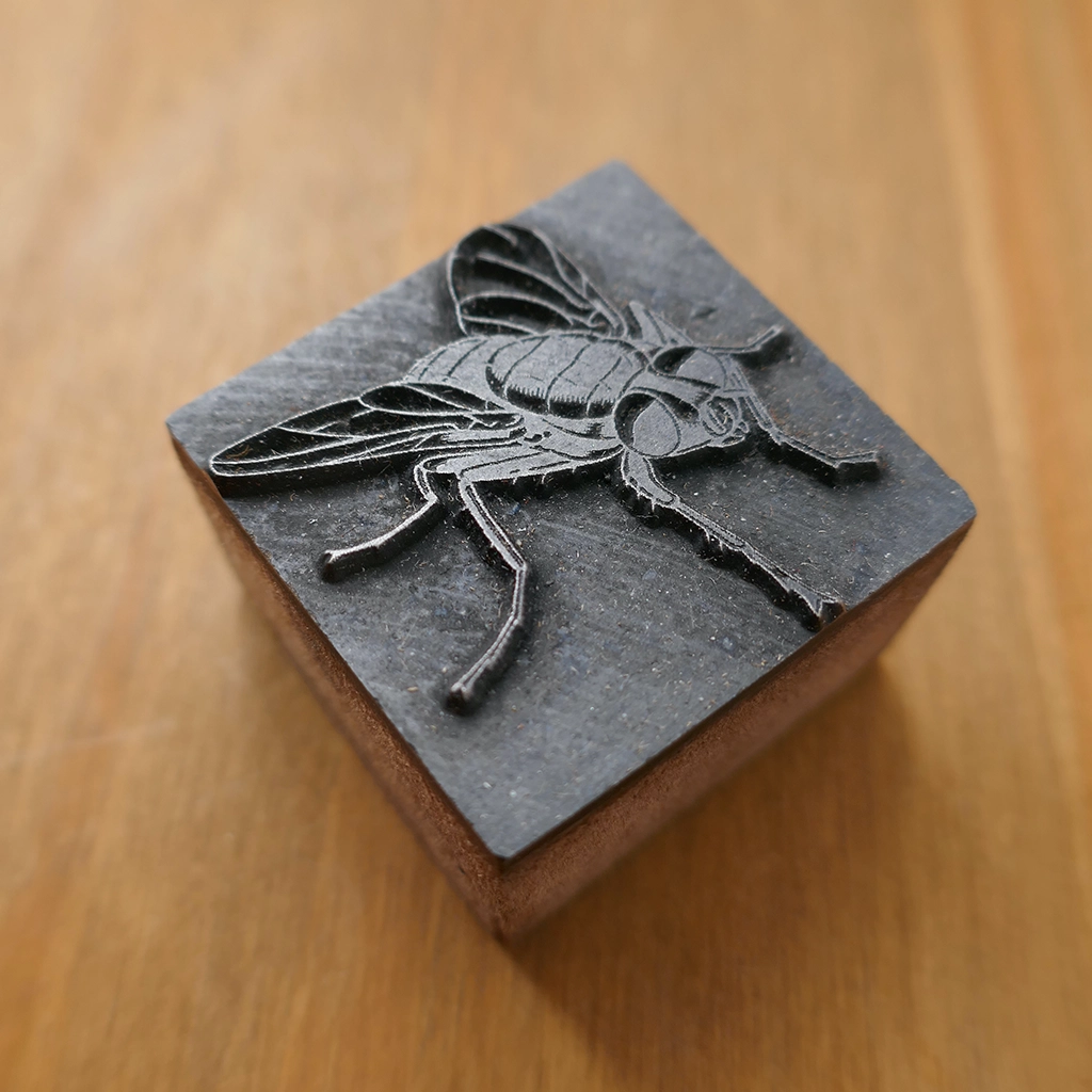 Detailed Housefly