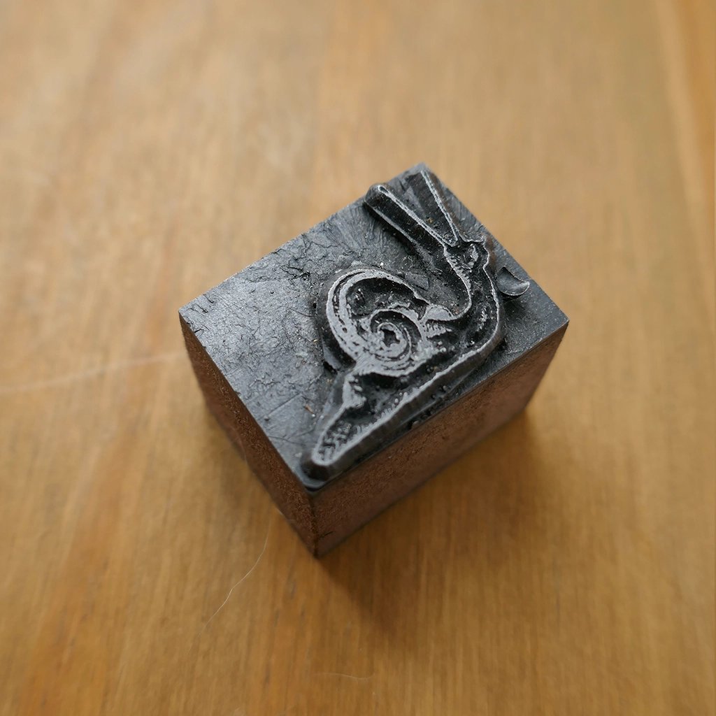 Snail Moving