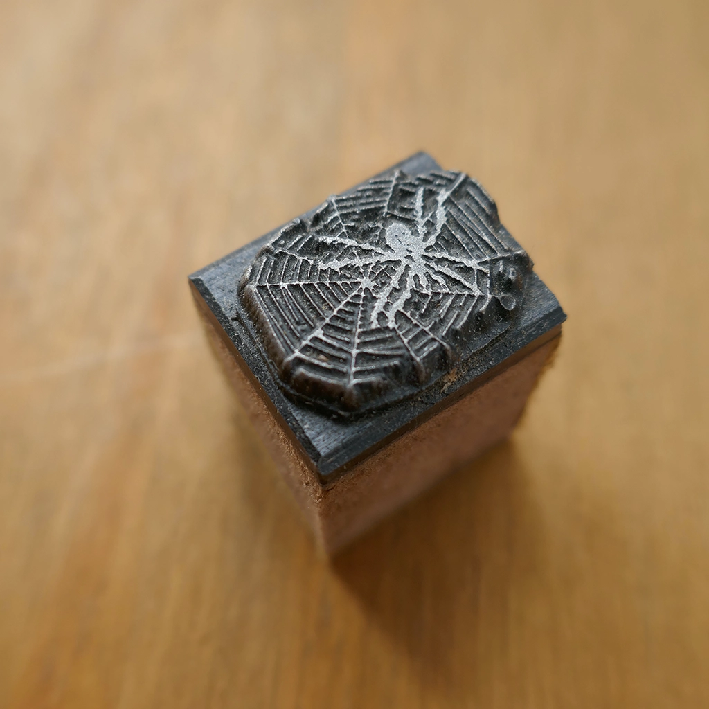Spider Centered in Web