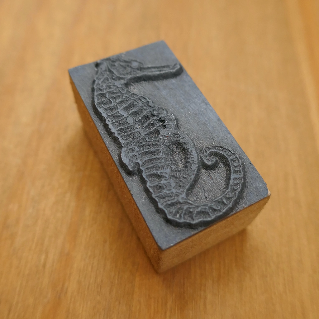 Seahorse Side