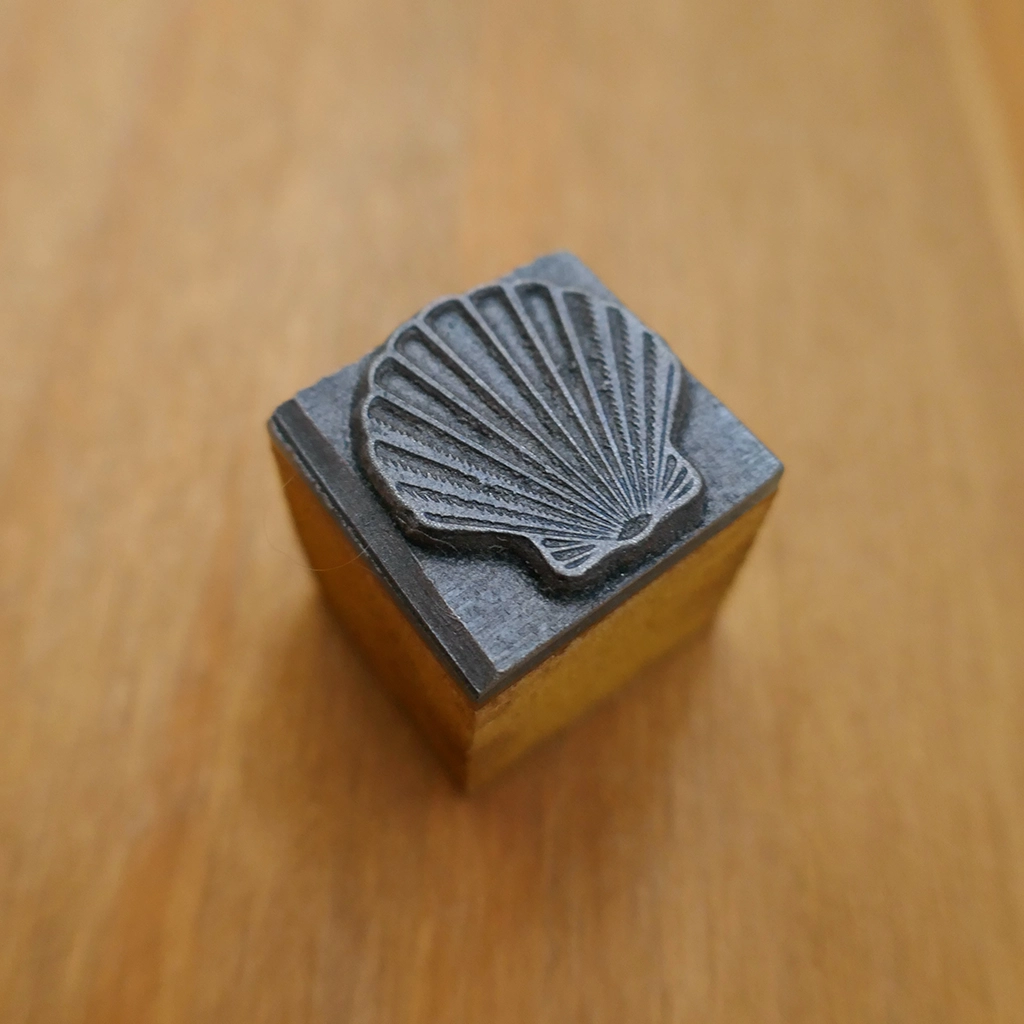 Pretty Shell